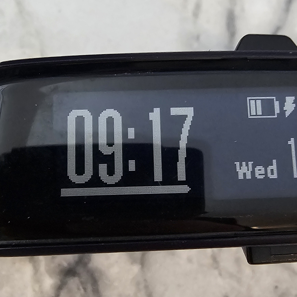 Garmin Black Smartwatch